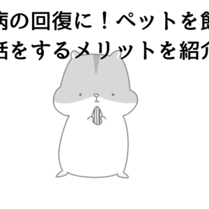 うつ病の回復に！ペットを飼って世話をするメリットを紹介！